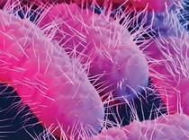 Hati-hati! Makanan Cair Bisa Jadi Sarang Bakteri untuk Berkembang Biak