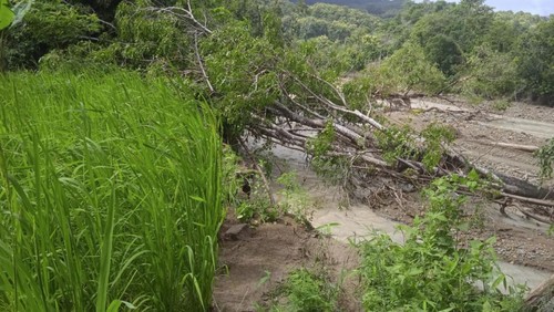 Luapan banjir Sungai Bonpo merusak tanaman pertanian warga desa Saukibe, Kecamatan Amfoang Barat Laut, Kabupaten Kupang, NTT, Minggu (26/2/2023).
