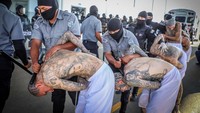 Pihak berwenang mengatakan geng kriminal seperti MS-13 dan Barrio-18 bertanggung jawab atas berbagai kasus pembunuhan, pemerasan, serta perdagangan narkoba. Anggota kedua geng tersebut mencapai puluhan ribu orang.