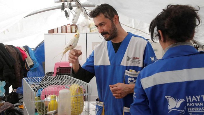 Veterinarian Serdar Akus holds a wounded bird after it was rescued in the aftermath of a deadly earthquake at a tent set up by HAYTAP (Turkey's Animal Rights Federation) in Hatay, Turkey February 14, 2023. REUTERS/Dilara Senkaya