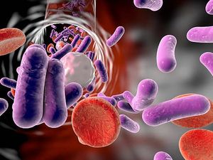 Jepang Waspadai Lonjakan Kasus Infeksi Bakteri Strep A