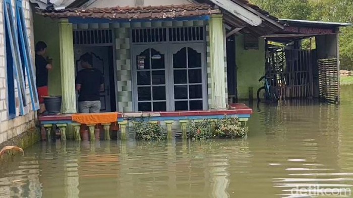 Kondisi banjir di Desa Mintobasuki, Kecamatan Gabus, Pati, Senin (27/2/2023).