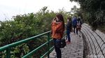 Tembok China Versi Mini, Ada di Hong Kong
