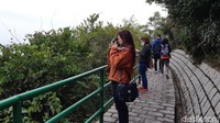 Jalur treking dibuat sepanjang 2 km, traveler bisa melihat laut dan berkeliling pulau sambil treking. (bonauli/detikcom)