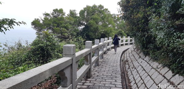 Sudah terkenal sejak puluhan tahun lalu, ada banyak wisatawan yang datang hanya untuk treking di sana. (bonauli/detikcom) Sudah terkenal sejak puluhan tahun lalu, ada banyak wisatawan yang datang hanya untuk treking di sana. (bonauli/detikcom)