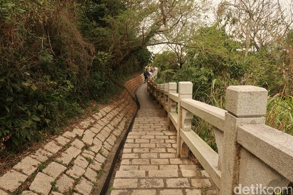 Warga Hong Kong sendiri terkenal dengan kesehatan dan umur panjang. Kegiatan treking dan hiking menjadi salah satu aktivitas yang favorit dan rutin dilakukan oleh warga Hong Kong. (bonauli/detikcom)