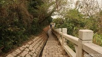 Warga Hong Kong sendiri terkenal dengan kesehatan dan umur panjang. Kegiatan treking dan hiking menjadi salah satu aktivitas yang favorit dan rutin dilakukan oleh warga Hong Kong. (bonauli/detikcom)