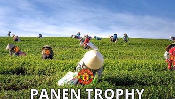 Setelah Carabao Cup, MU bakal panen trofi. Foto: Twitter