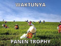 Meme Kocak Man United Juara, Tsunami Trofi hingga Full Senyum Sayang