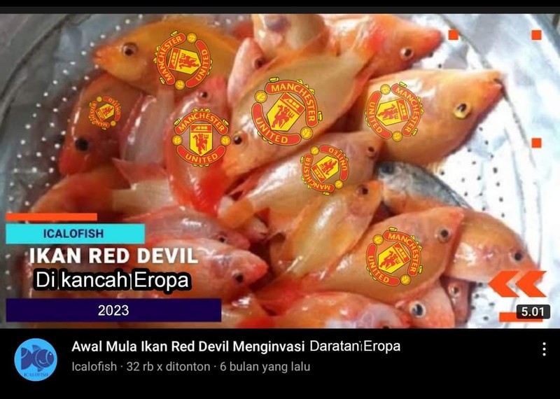 Meme MU Juara