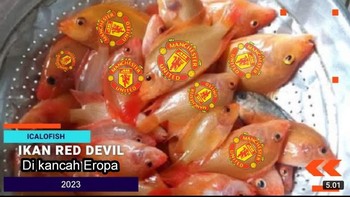 Bruno Fernandes yakin trofi Carabao Cup yang diraih Man United hanyalah awal dari datangnya gelar-gelar yang lain bersama Erik ten Hag selaku manajer. . Foto: Twitter