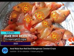 Meme Kocak Man United Juara, Tsunami Trofi hingga Full Senyum Sayang