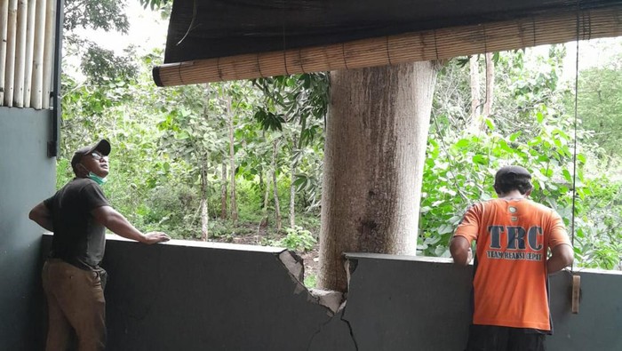 Pohon kapuk raksasa tumbang di Jalan Pura Masuka, Perumahan Samatha Masuka Nomor C8, Uluwatu, Kuta Selatan, Badung, Bali, Minggu (26/2/2023).