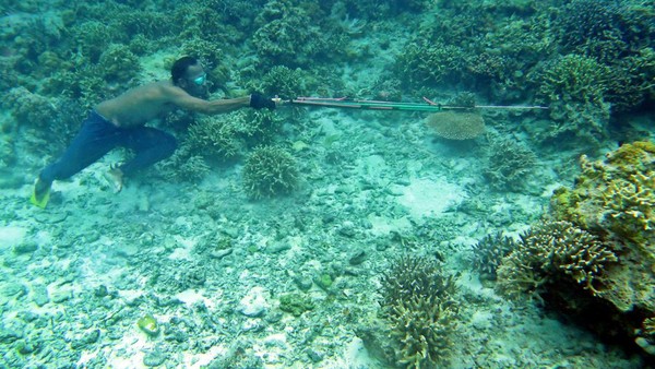 Di sana terdapat tebing karang, yang membatasi laut dangkal dan laut dalam. Di sanalah pekarangan terumbu karang, tempat berbagai macam ikan yang akan menjadi buruannya. Yang dicari oleh Taha hanyalah ikan besar, boleh jadi kerapu, tongkol, gurita, baronang, atau bahkan tuna yang berukuran setengah badan Taha. Di sana terdapat tebing karang, yang membatasi laut dangkal dan laut dalam. Di sanalah pekarangan terumbu karang, tempat berbagai macam ikan yang akan menjadi buruannya. Yang dicari oleh Taha hanyalah ikan besar, boleh jadi kerapu, tongkol, gurita, baronang, atau bahkan tuna yang berukuran setengah badan Taha.