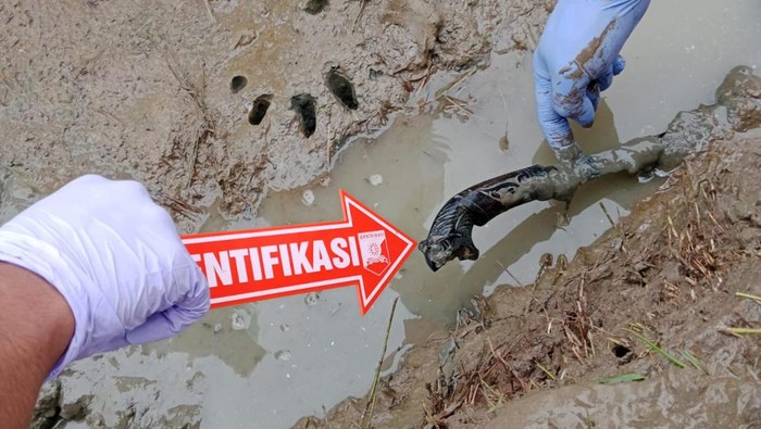 Pria yang tewas dengan luka tusukan di dada yang ditemukan di tengah sawah Kecamatan Walantaka, Serang, Banten diduga pelaku pencurian. (dok istimewa)