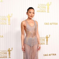 Aktris Li Jun Li sukses mencuri perhatian dalam balutan gaun transparan. Kendagi demikian, ia masuk di daftar busana terburuk. Patricia Arquette juga mendapat gelar berbusana terburuk. Ia memakai gaun hijau minta yang disebut seperti baju tidur. (Foto: Amy Sussman/WireImage)