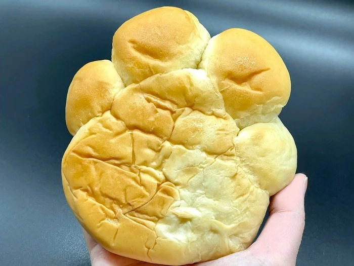 Gemas! Aneka Kue dan Roti Bentuk Kucing Ini Bikin Sayang Dimakan