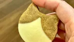 Gemas! Aneka Kue dan Roti Bentuk Kucing Ini Bikin Sayang Dimakan