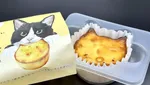 Gemas! Aneka Kue dan Roti Bentuk Kucing Ini Bikin Sayang Dimakan