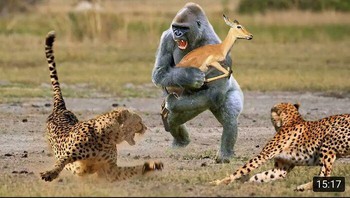 Thumbnail YouTube yang epic. Sayangnya tidak ada adegan tersebut dalam video. Foto: Reddit via Boredpanda