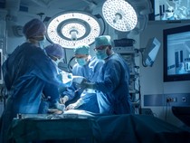 Ada-ada Aja, Pria China Masuk RS gegara Masukkan Lintah Hidup ke Penis