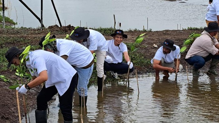 Hutan bakau di Desa Rumadian, Kecamatan Manyeuw, Maluku Tenggara, tidak hanya untuk mencegah abrasi pantai. Kini hutan bakau tersebut bisa menjadi tempat wisata seru.