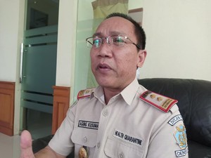 KKP Denpasar Awasi Pergerakan Wisman Kamboja di Bandara Buntut Flu Burung