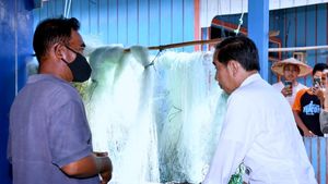 Nelayan Ngeluh soal Solar Subsidi, Jokowi Langsung Telepon Menteri KP