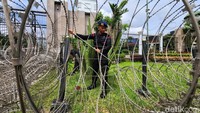 Dalam undangan yang diterima detikcom, aksi unjuk rasa hari ini digelar dilakukan terkait keputusan pemerintah soal Perppu Cipta Kerja. Mereka menuntut pemerintah untuk mencabut Perppu Cipta Kerja tersebut.  