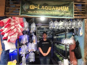 5 Ikan Paling Banyak Dicari di Pasar Muara Bandung
