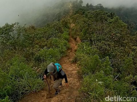 Pesona Panorama 360 Derajat di Puncak Gunung Kerenceng Sumedang