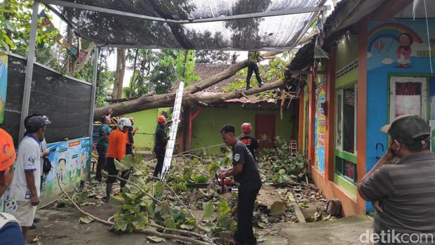 pohon tumbang timpa gedung tk kota blitar
