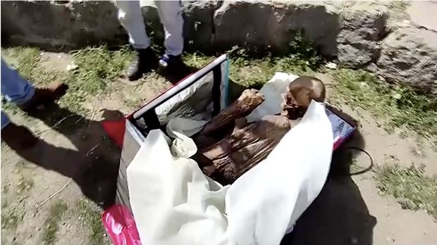 Sebuah mumi dibawa oleh sopir pengiriman di dalam tas pendingin di Peru. (Tangkapan Layar Video Reuters/JAVIER ZUNIGA – NOTICIAS SIN FILTRO PUNO TV)