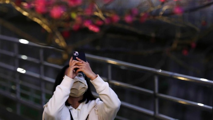 Terpesona Indahnya Bunga Sakura pada Malam Hari di Taiwan People enjoy the cherry blossoms at night in Taipei, Taiwan, Monday, Feb. 27, 2023.(AP Photo/Chiang Ying-ying)