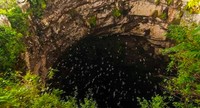 Cave of Swallows, Meksiko