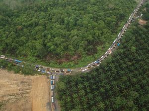 Kondisi Terkini Lalu Lintas Jalinsum Jambi yang Macet 22 Jam