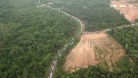 Kendaraan yang terjebak macet ini didominasi oleh truk bermuatan batu bara. 