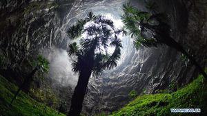Lubang Surgawi Raksasa Ditemukan di China, Isinya Hutan Purba!