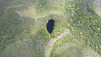 Lubang Raksasa Isinya Hutan Purba, Seperti Dunia Lain