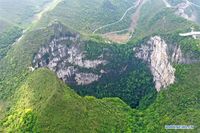 Ini Penampakan Lubang Raksasa Yang Isinya Hutan Purba