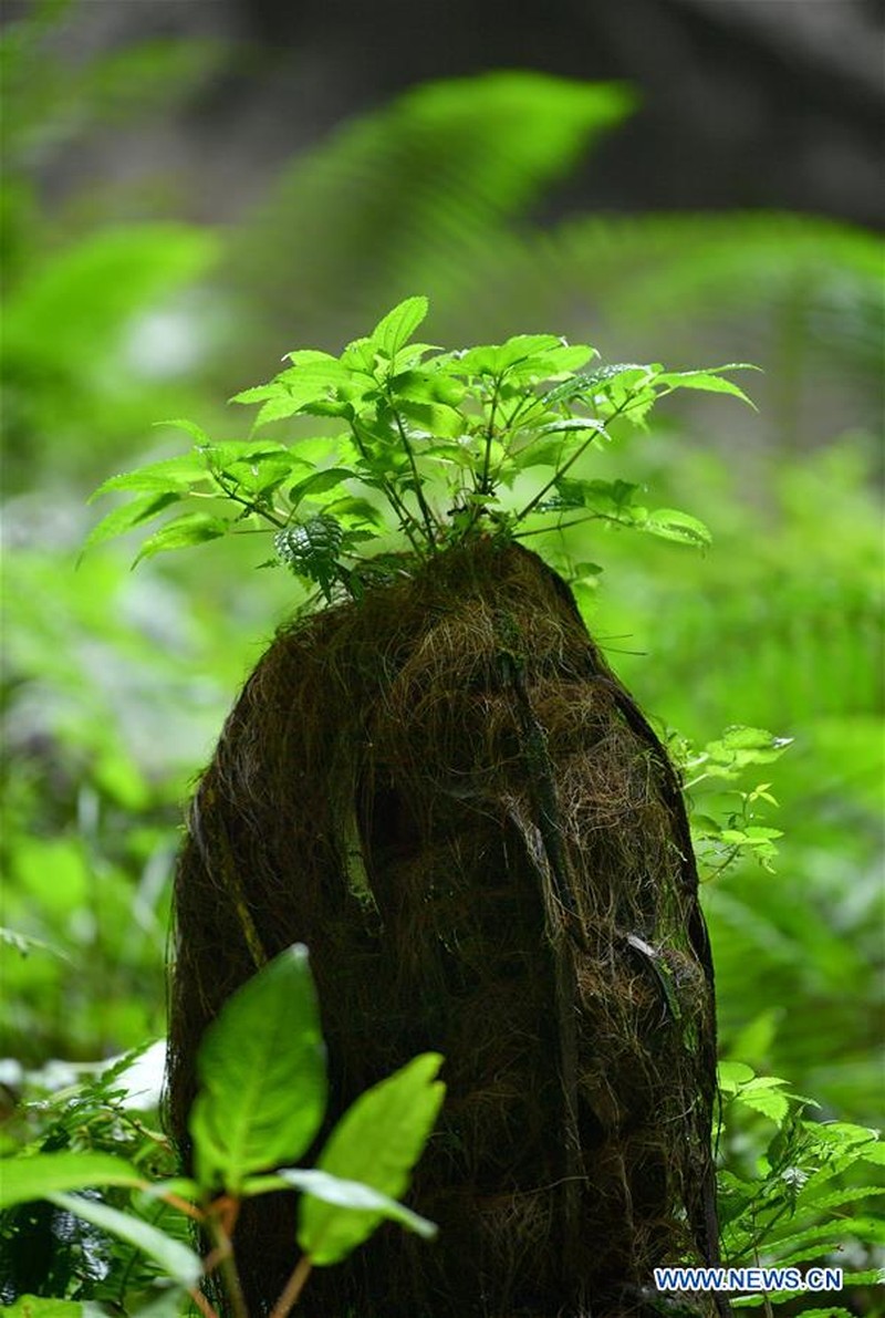 Lubang raksasa di China