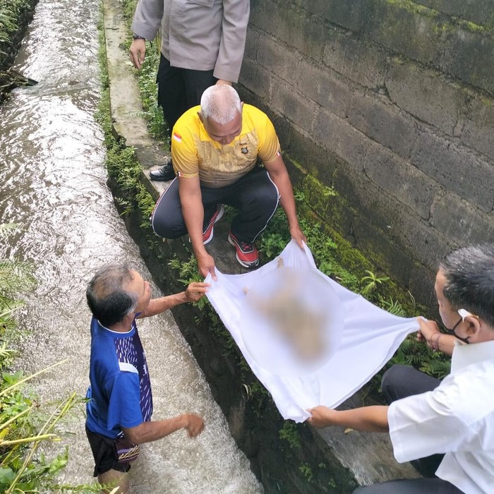 Mayat bayi perempuan ditemukan di saluran irigasi subak Jalan Padma Gang XI l, Kelurahan Penatih, Kecamatan Denpasar Timur, Kota Denpasar. (Dok. Polresta Denpasar)