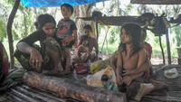 Keluarga Orang Rimba dari kelompok Tumenggung Minan beristirahat di areal perkebunan yang menjadi tempat bermukim sementaranya di Merangin, Jambi, Selasa (28/2/2023).   