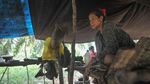 Miris, Orang Rimba di Jambi Kini Numpang Hidup di Perkebunan