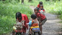 Mereka mengaku kesulitan memenuhi kebutuhan pangan keluarga dan pendidikan anak karena hutan yang dulunya menjadi ruang hidup mereka telah beralih fungsi menjadi perkebunan.  