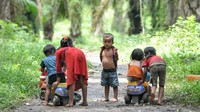 Namun kini Orang Rimba setempat hidup menumpang di perkebunan kelapa sawit.  