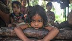 Miris, Orang Rimba di Jambi Kini Numpang Hidup di Perkebunan