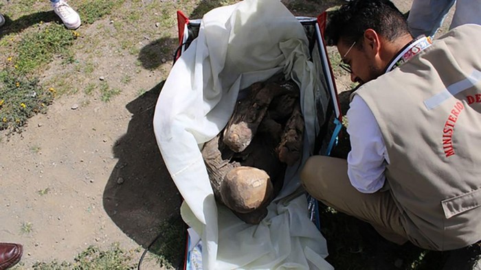 Geger! Mumi 800 Tahun Ditemukan di Dalam Tas Pengantar Makanan