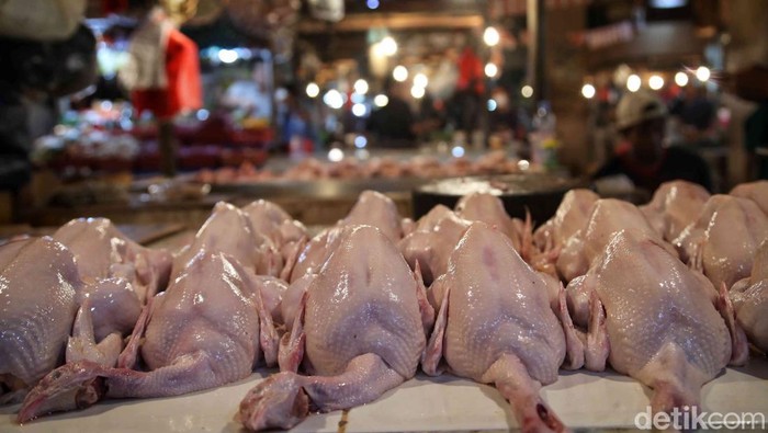 Sejumlah pedagang daging sapi berkaktivitas di kawasan Pasar Senen, Rabu (1/3/2023). Harga daging sapi terpantau masih stabil menjelang bulan Ramadhan.