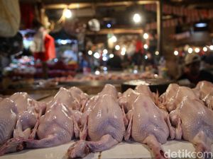 Harga Ayam di Pasar Ikut Anjlok Jadi Rp 35.000/Kg